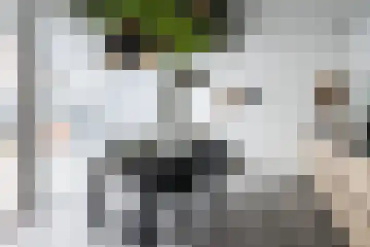 Moeselplein 2 Weert thumbnail 15