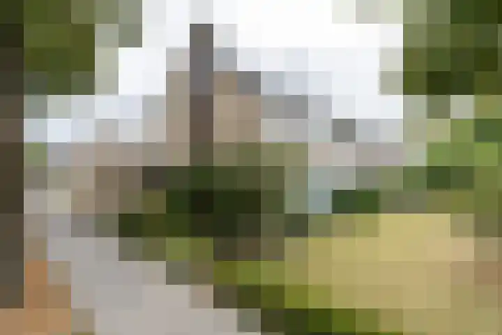 Moeselplein 2 Weert thumbnail 52