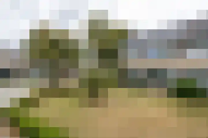 Moeselplein 2 Weert thumbnail 55