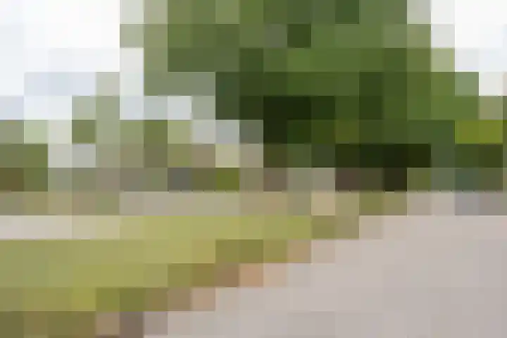 Moeselplein 2 Weert thumbnail 58