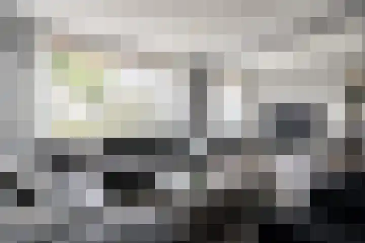 Moeselplein 2 Weert thumbnail 6