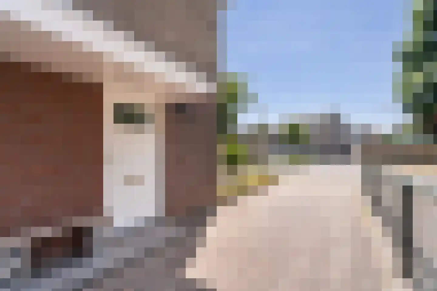 Moeselplein 3 Weert thumbnail 7