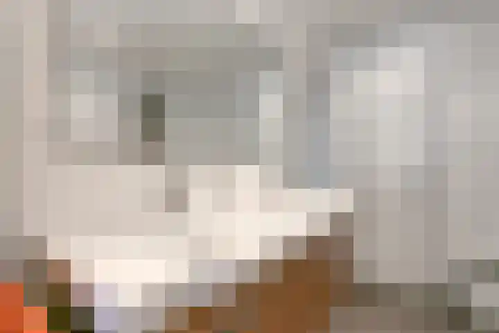 Moeselschansweg 15 Weert thumbnail 24