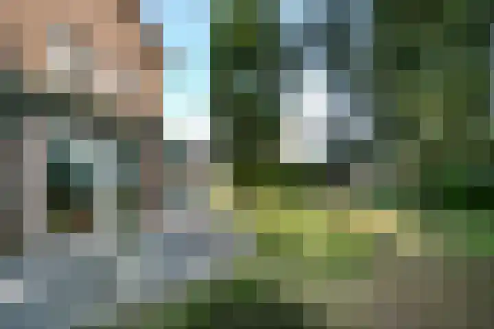 Moeselschansweg 15 Weert thumbnail 36