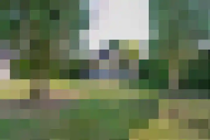 Moeselschansweg 15 Weert thumbnail 38