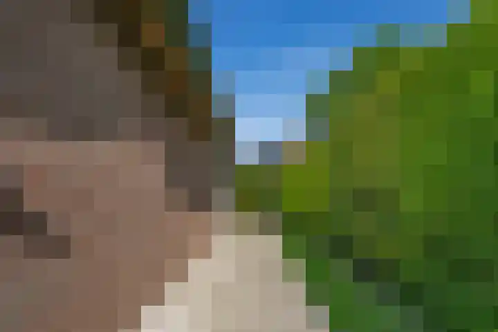 Moeselschansweg 15 Weert thumbnail 39