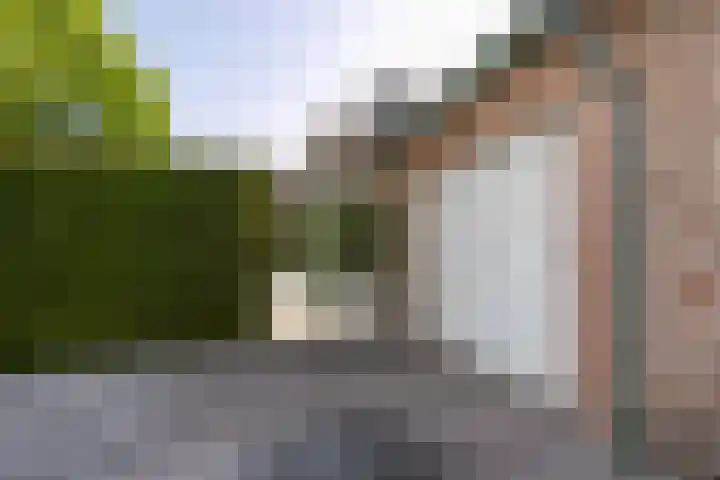 Moeselschansweg 15 Weert thumbnail 40