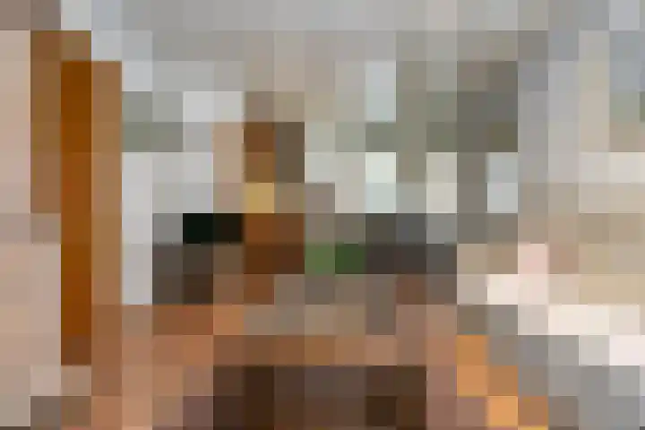Moeselschansweg 15 Weert thumbnail 42