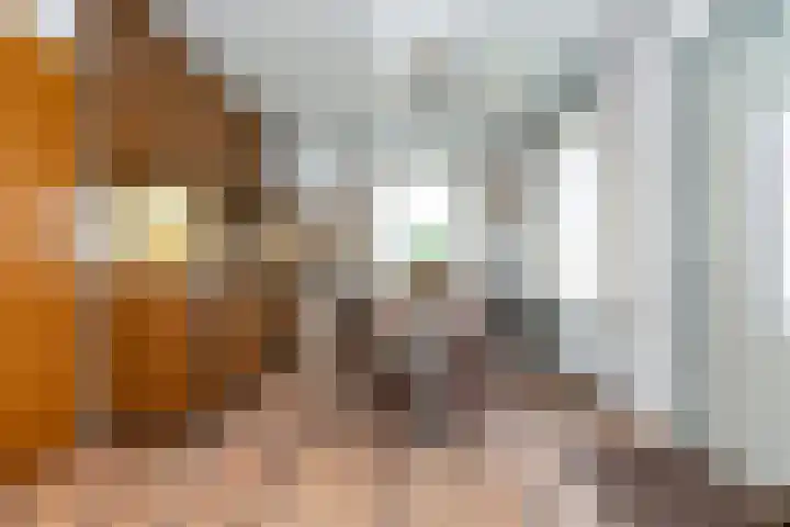 Moeselschansweg 15 Weert thumbnail 43