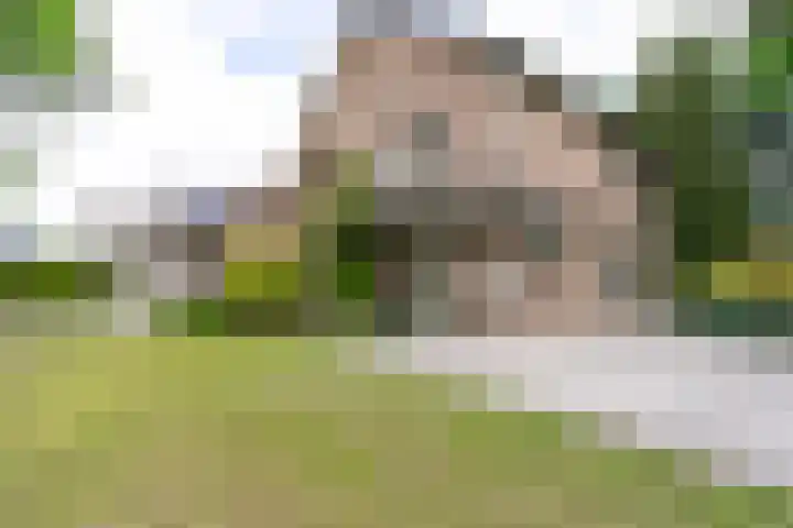 Moeselschansweg 15 Weert thumbnail 49