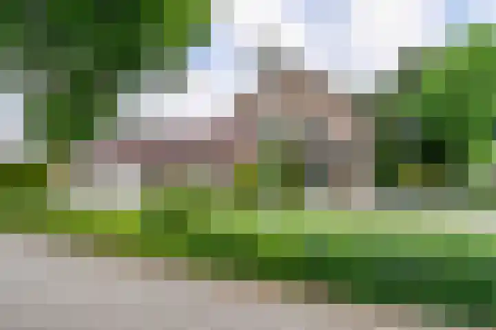 Moeselschansweg 15 Weert thumbnail 50