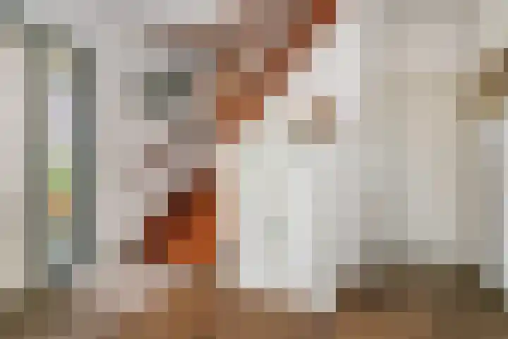 Moeselschansweg 15 Weert thumbnail 7