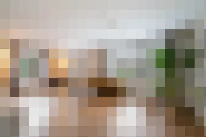 Moeselschansweg 43 Weert thumbnail 12