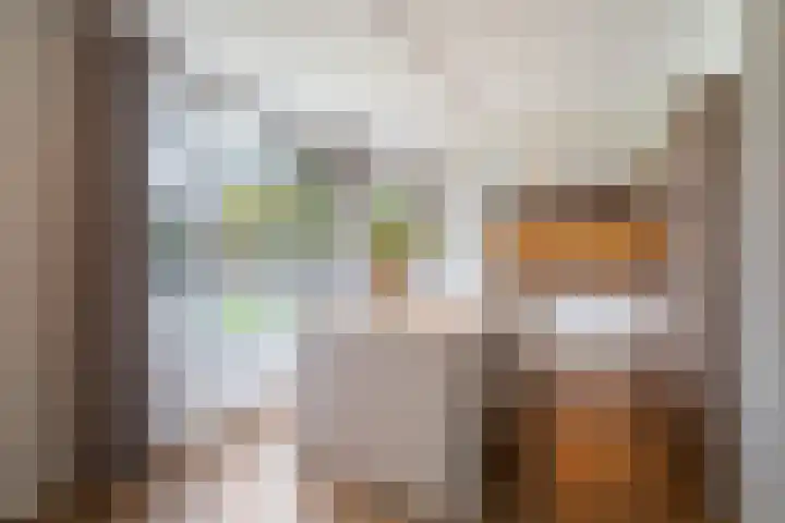 Moeselschansweg 43 Weert thumbnail 17