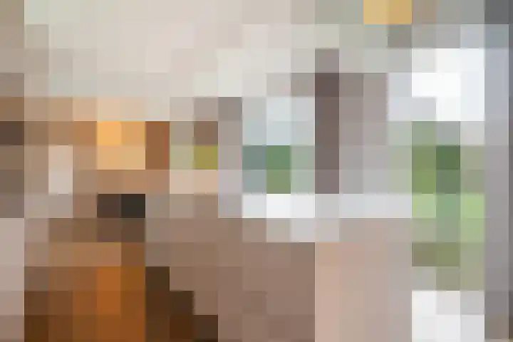 Moeselschansweg 43 Weert thumbnail 18