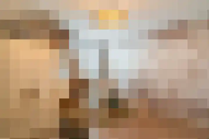 Moeselschansweg 43 Weert thumbnail 27