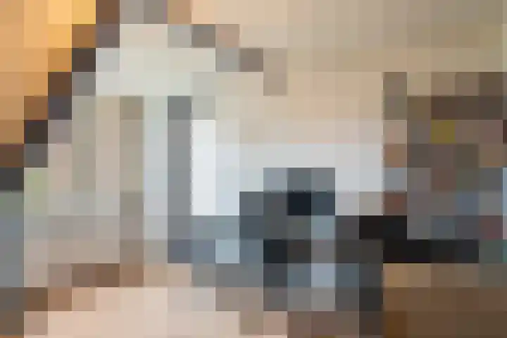 Moeselschansweg 43 Weert thumbnail 31
