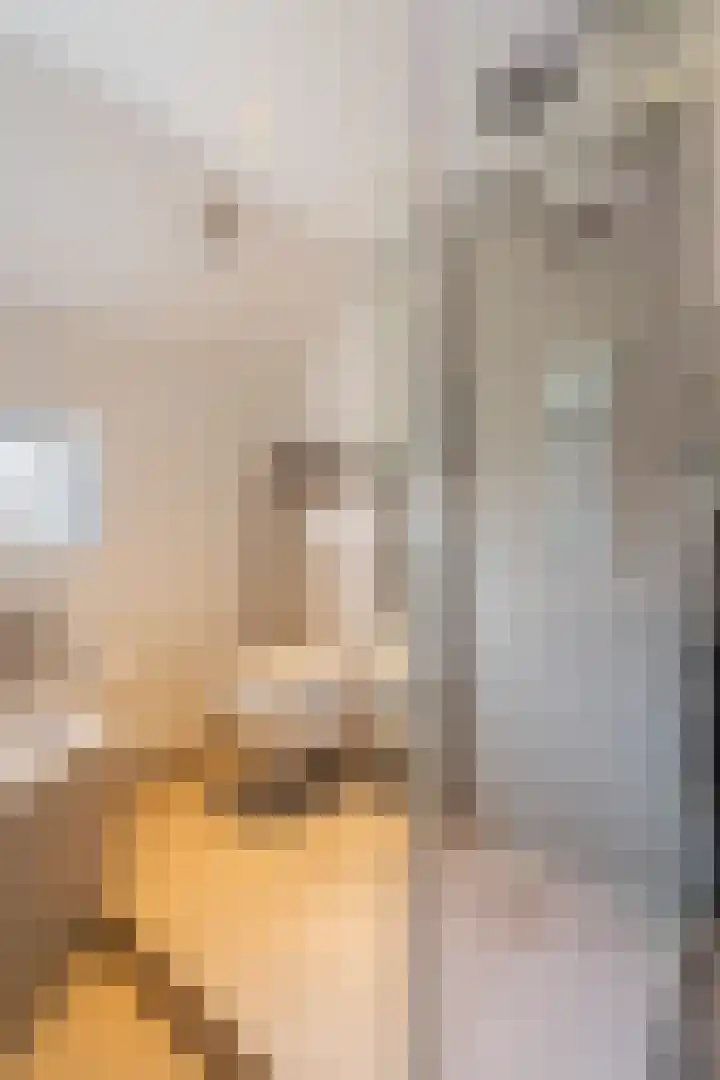 Moeselschansweg 43 Weert thumbnail 34