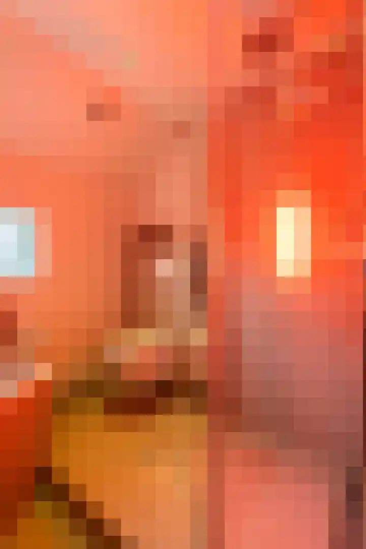 Moeselschansweg 43 Weert thumbnail 35