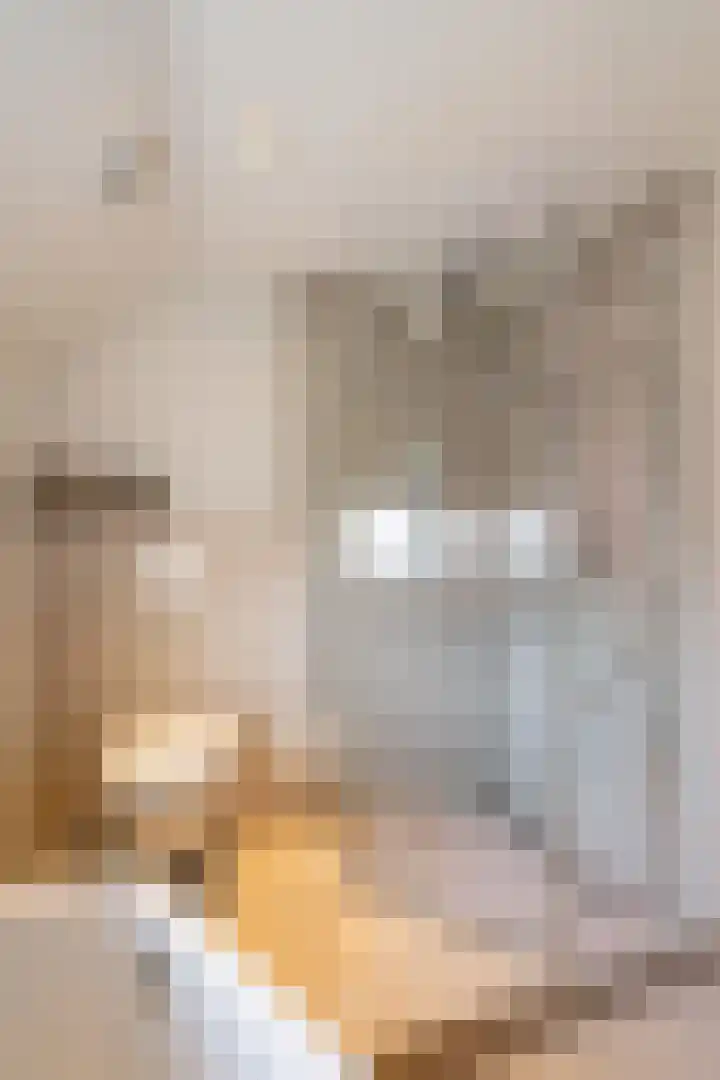 Moeselschansweg 43 Weert thumbnail 36