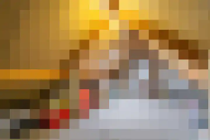 Moeselschansweg 43 Weert thumbnail 38