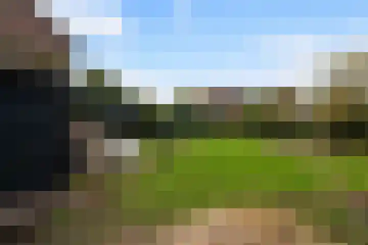 Moeselschansweg 43 Weert thumbnail 40