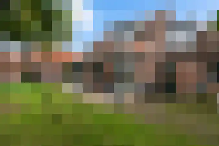 Moeselschansweg 43 Weert thumbnail 41