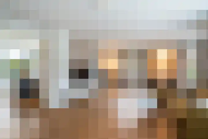 Moeselschansweg 43 Weert thumbnail 9