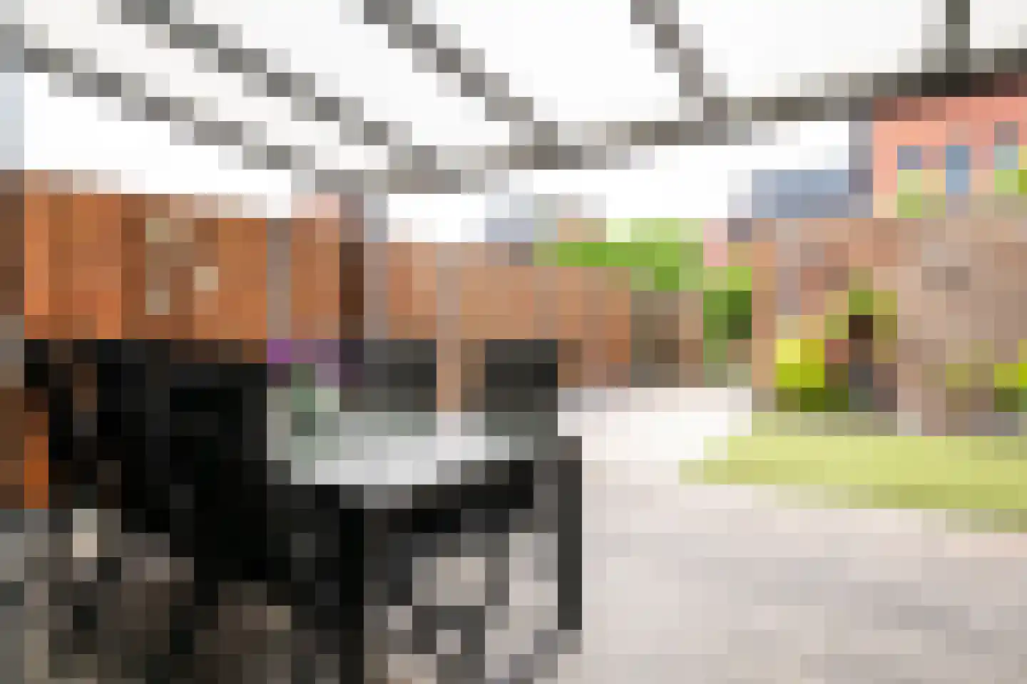 Moeshof 31 Berghem thumbnail 24