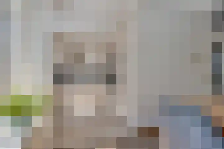 Moeshof 38 g Neede thumbnail 14