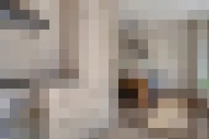 Moeshof 38 g Neede thumbnail 16