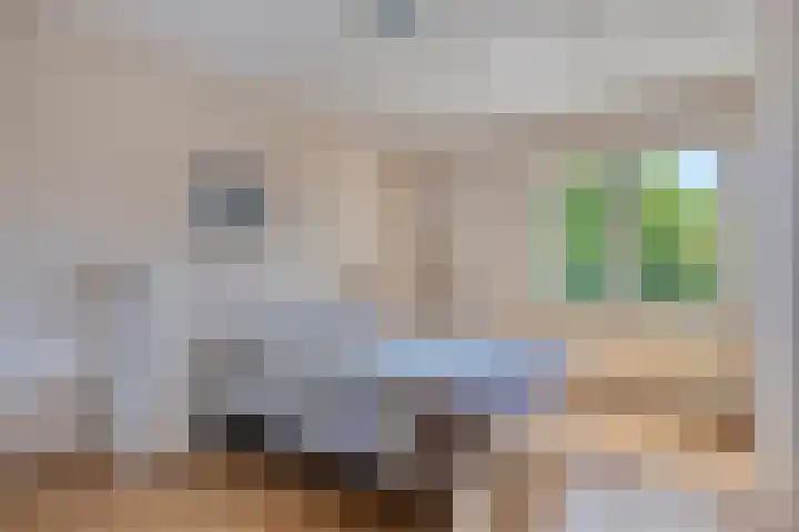 Moeshof 38 g Neede thumbnail 20