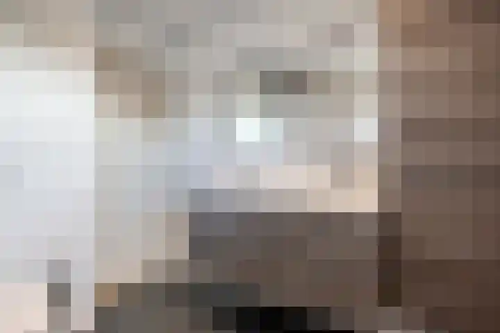Moeshof 38 g Neede thumbnail 23