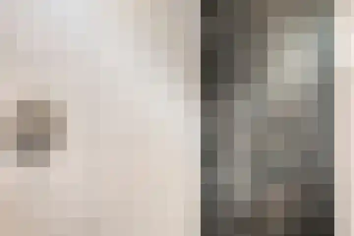 Moeshof 38 g Neede thumbnail 25