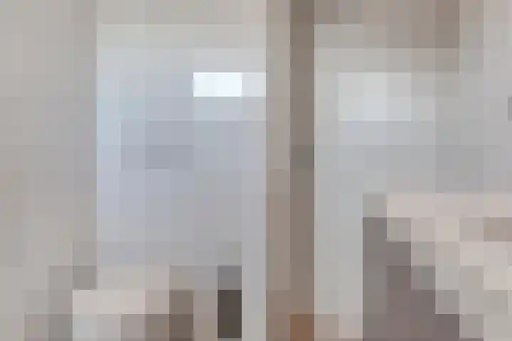 Moeshof 38 g Neede thumbnail 26