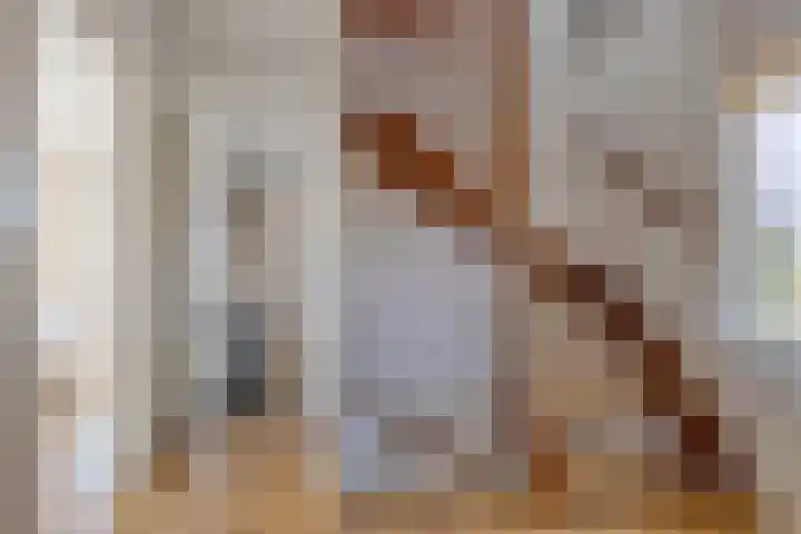 Moeshof 38 g Neede thumbnail 27