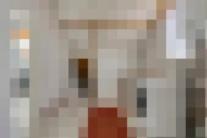 Moeshof 38 g Neede thumbnail 28