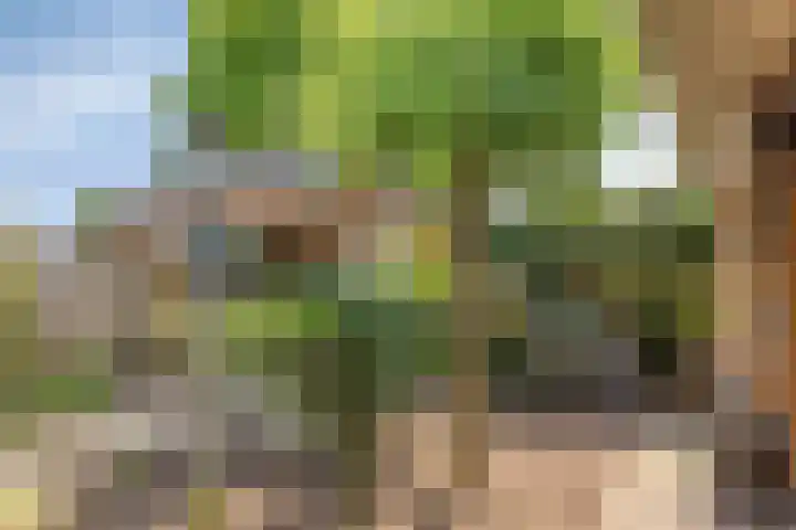 Moeshof 38 g Neede thumbnail 30