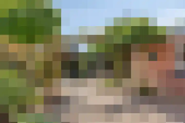 Moeshof 38 g Neede thumbnail 31