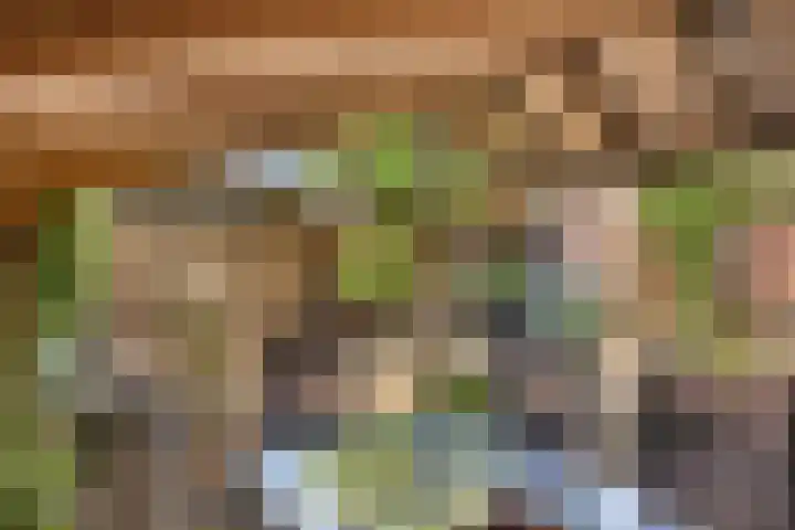 Moeshof 38 g Neede thumbnail 32