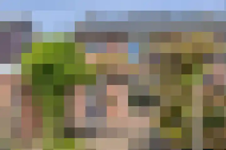Moeshof 38 g Neede thumbnail 33