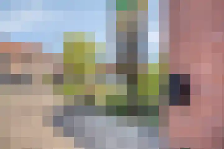 Moeshof 38 g Neede thumbnail 35