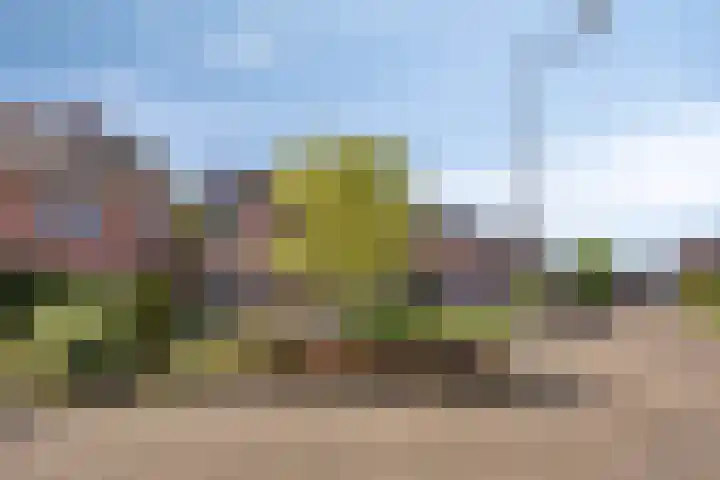Moeshof 38 g Neede thumbnail 38