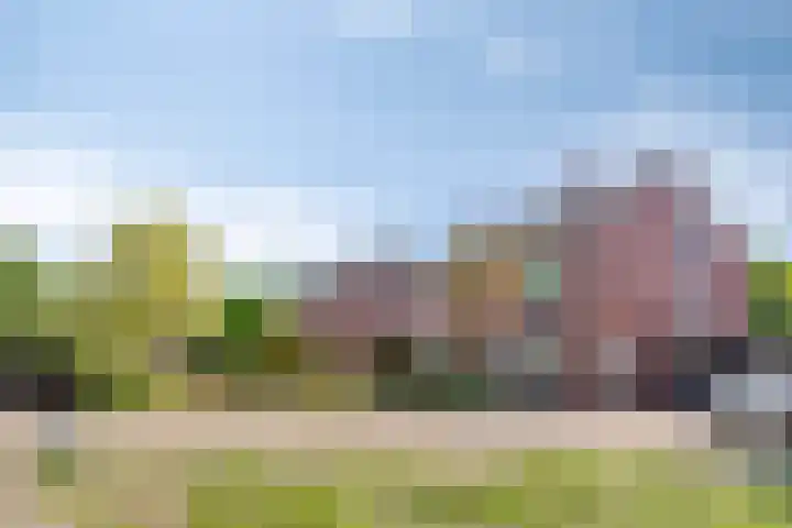 Moeshof 38 g Neede thumbnail 39