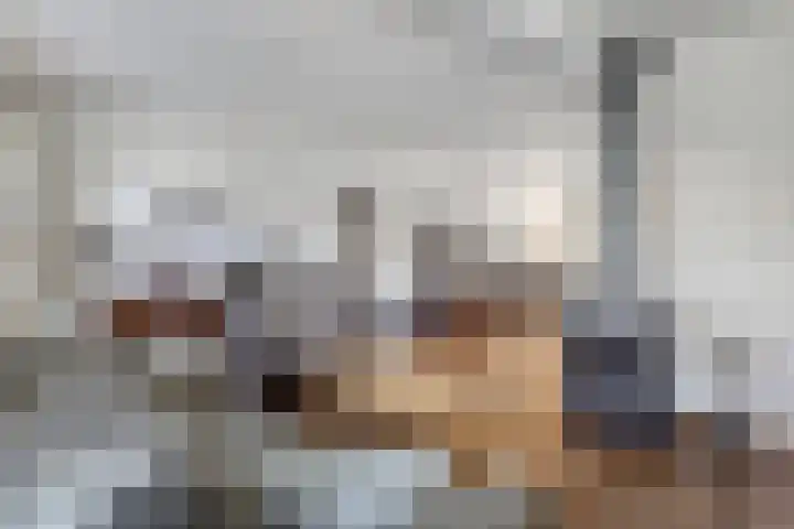 Moeshof 38 g Neede thumbnail 7
