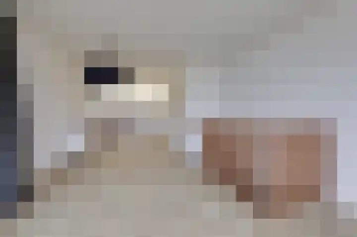 Moeshofweg 29 e Velp thumbnail 10