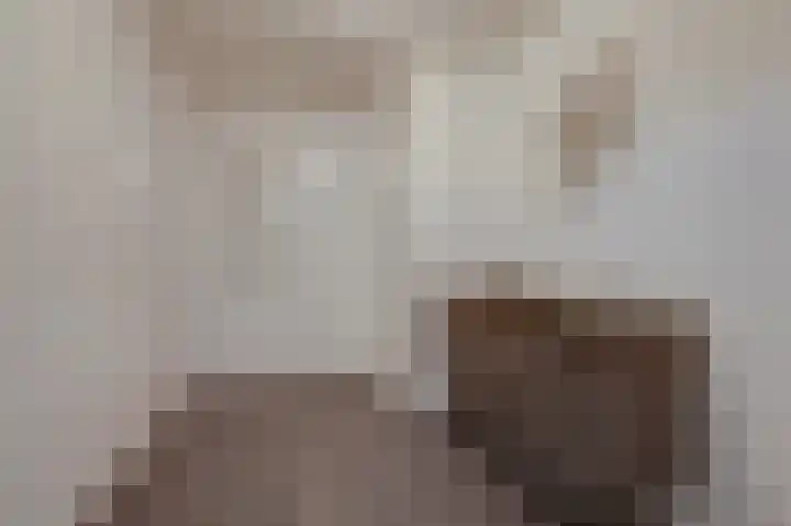 Moeshofweg 29 e Velp thumbnail 15