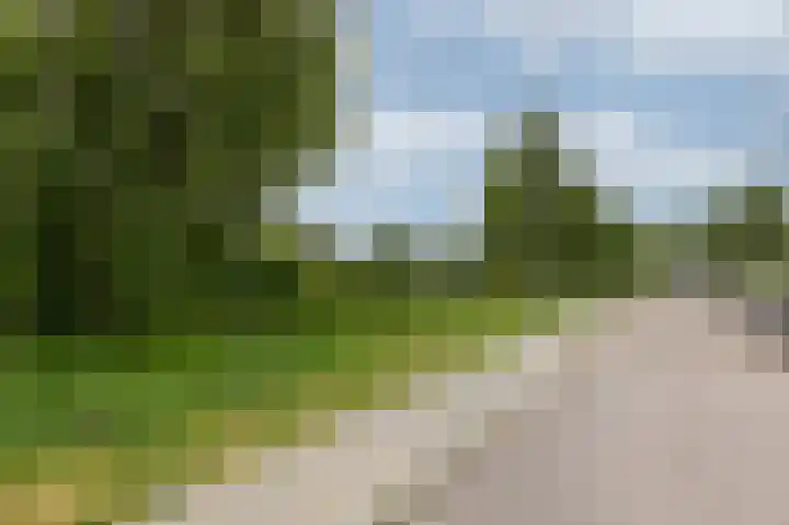Moeshofweg 29 e Velp thumbnail 24