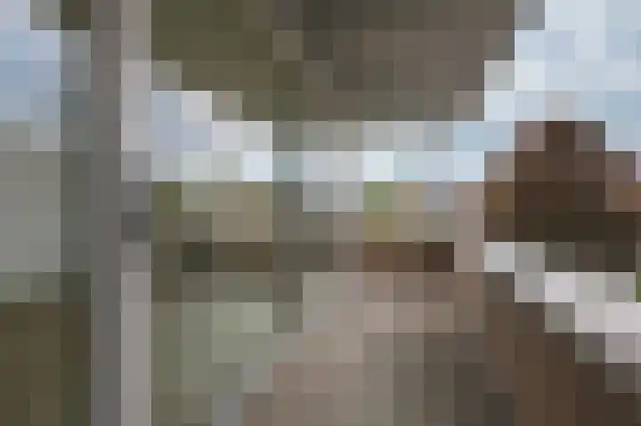 Moeshofweg 29 e Velp thumbnail 7