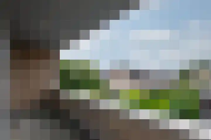 Moeshofweg 29 e Velp thumbnail 8